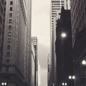 Meet your Posher, Rose